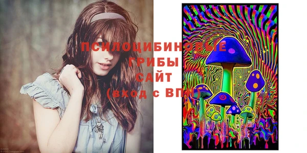трава Саяногорск
