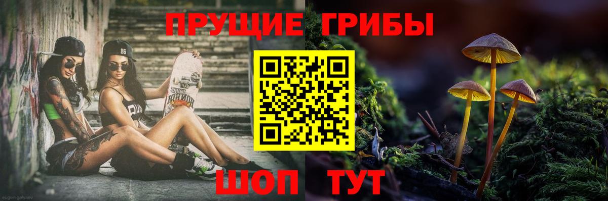 купить   Благодарный  Галлюциногенные грибы Cubensis 