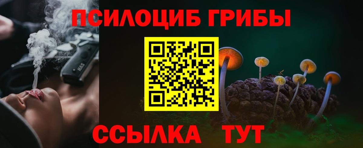 Галлюциногенные грибы GOLDEN TEACHER Благодарный